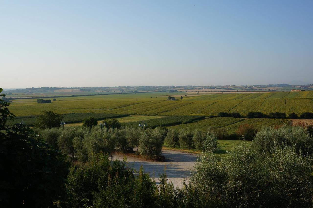 Agriturismo S.Angelo Foiano Della Chiana Extérieur photo