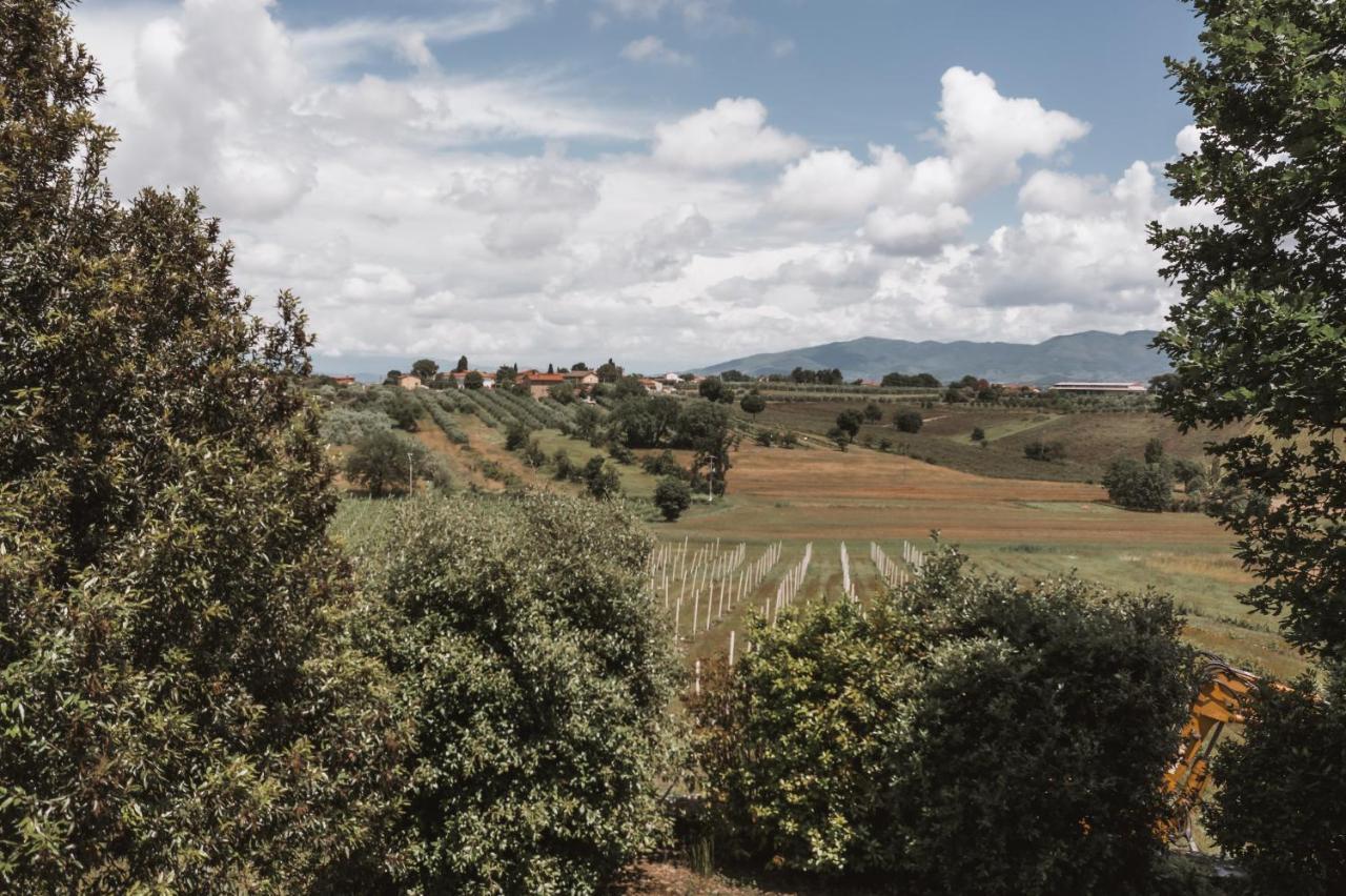 Agriturismo S.Angelo Foiano Della Chiana Extérieur photo